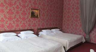 Гостиница Гермес Парк-отель Санкт-Петербург Стандартный двухместный номер с 2 отдельными кроватями-3