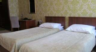 Гостиница Гермес Парк-отель Санкт-Петербург Стандартный двухместный номер с 2 отдельными кроватями-2